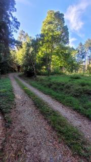 Cabaña Bosques de Santa Elvira - 7