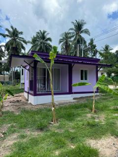 The purple house - srithanu - Ko Phangan - 0