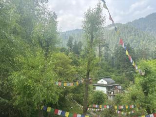 The Cozy Cabin, Jibhi - 8