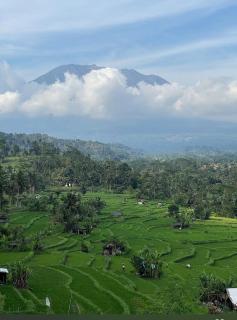 Lumbung ayu sari and spa - Sidemen - 5