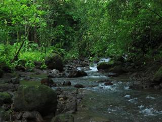 Breadfruit House, Pool and BBQ - San Rafael Norte - 1