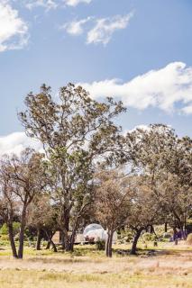 Captain Thunderbolt Bubbletent at Mirumiru - Tenterfield - 8