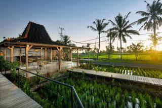 DITUJU Ubud by Pramana Villas - Ubud - 9