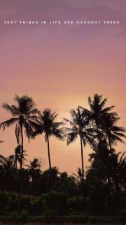Prashiv farm stay - Talala - 6