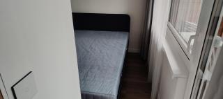 House in pine forest 5 - Gauja - 4