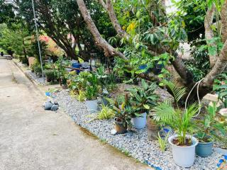 The poolhouse at McKirdy's mango farm - 9