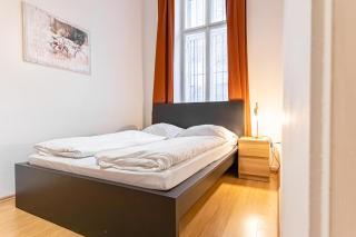 Spacious 2BR Apt Ideal for Long Stays - Viena - 7