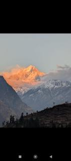 parvati homestay - Jāmb - 1
