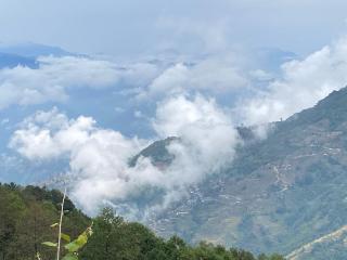 First Nature Homestay - 2