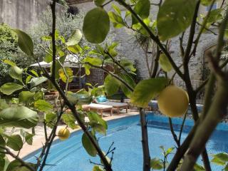 Gîte familial 6 personnes climatisé, piscine partagée chauffée, proche Nîmes, Uzès, Pont du Gard, Cévennes - Saint-Géniès-de-Malgoirès - 3