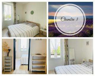 Le cocon familial - Digne-Les-Bains - 8