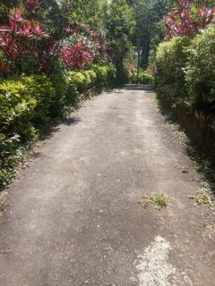 Holly Cottage - Kahattewela - 3