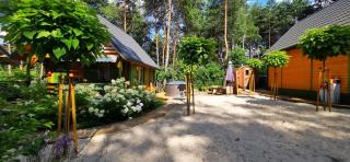 Domki letniskowe Balia sauna Leśny Czar - Raków - 6