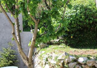 Spacious Holiday Home - Serene Nature Retreat Near The Coast - Herceg-Novi - 7