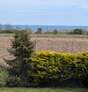 St Marys Light house, Caravan Rentals - Whitley Bay - 9