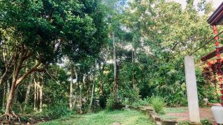 The Old Manor - Weligama - 6
