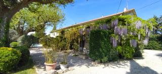 Mas de St-Andiol - Cabannes - 7