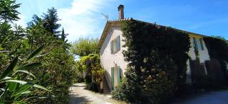 Mas de St-Andiol - Cabannes - 8