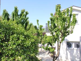Spacious Holiday Home - Serene Nature Retreat Near The Coast - Herceg-Novi - 8