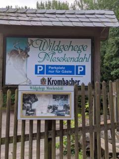 FeWo Flick - Lüdenscheid - 1