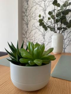 Ann's Apartment - Gdansk - 4
