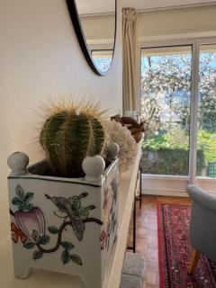 Maison Hyper centre Dinan 2,4 ou 6 personnes - Dinan - 1