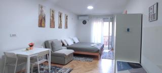 Studio apartman Ljiljana - Vrnjačka Banja - 9