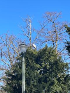 Le Flagey green place - 4