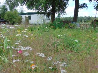 Chalet "In Toto" - Zelhem - 9