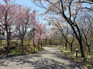 Hana No Paradise - Nasu - 7