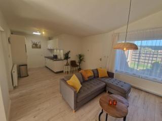 Holiday house Happy House - 2 km from the beach - Noordwijkerhout - 9