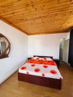 Casa Denisa - Cîrţişoara - 4