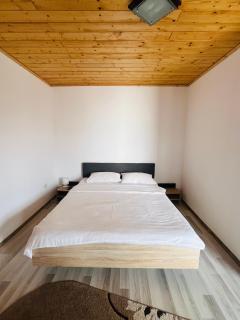 Casa Denisa - Cîrţişoara - 1