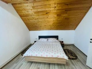 Casa Denisa - Cîrţişoara - 0