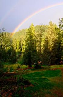 Green Hill at Rainier Lodge (0.4 miles from the entrance) - 2
