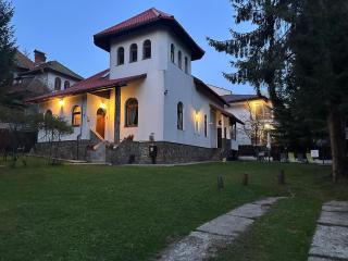 Green Yard Villa - Predeal - 9