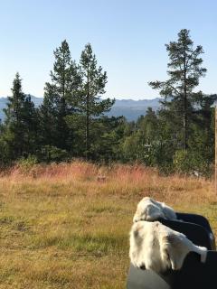 Large and family friendly cabin near Langedrag - Tunhovd - 7