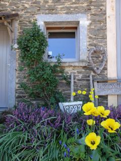 B&B Le bruissement - Bièvre - 5