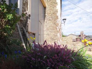 B&B Le bruissement - Bièvre - 4