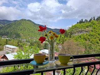 Borjomi Nest 1 - Borjomi - 0