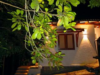 Paradise Villa & Guest House - Angulugaha - 8