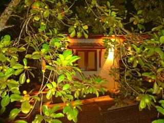 Paradise Villa & Guest House - 1