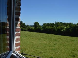 Picture-perfect Holiday Home in Sourbrodt with Garden, BBQ - Sourbrodt - 4