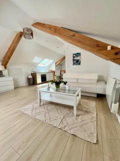 Appartement atypique proche colmar - 0