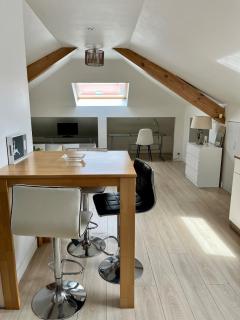 Appartement atypique proche colmar - Horbourg - 4
