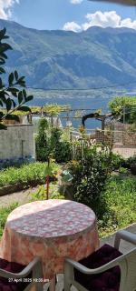 Cute studio with garden and terrace,by the sea - Kotor - 0