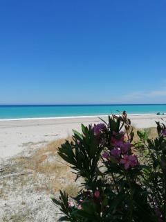 Casa vacanza sul mare 1 - Santa Caterina Dello Ionio Marina - 9