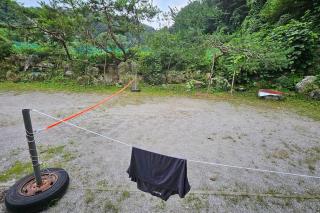 White Mountain Lodge in the Forest - 1