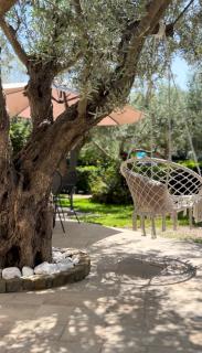 Consuelo Vacanze - San Marco di Castellabate - 0