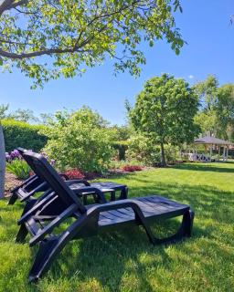 Tisza Lodge B&B - Panzió - Tiszaderzs - 9
